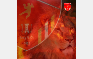 Amical : MHB / Châteauneuf (N3)